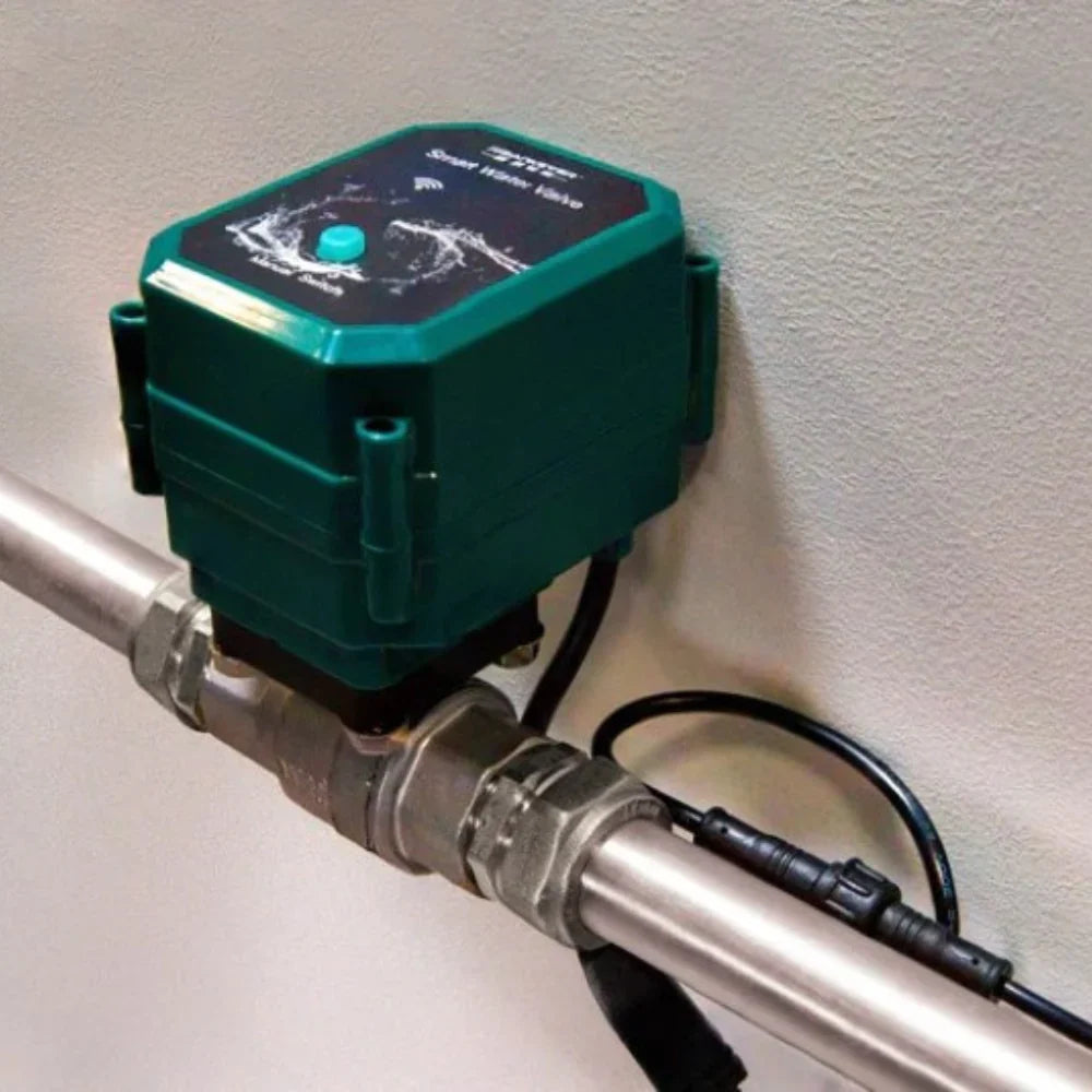 Frankever SMART VALVE DN20