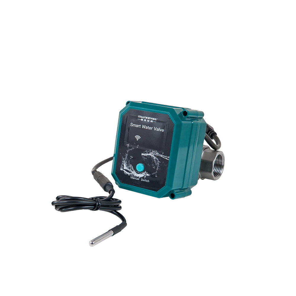 Frankever SMART VALVE DN20