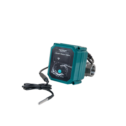 Frankever SMART VALVE DN20